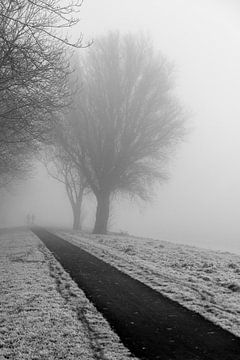 Le brouillard. sur Jakob Huizen van