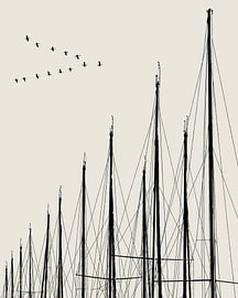 MASTEN und VÖGEL