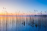 Zonsondergang op de Belterwijde