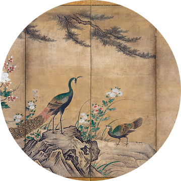 Kano Shoei. Vogels, bomen en bloemen