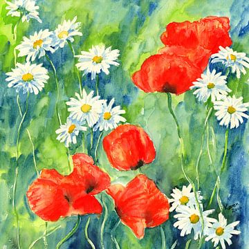 Daisies and poppies