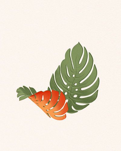 Gekleurde monstera deliciosa