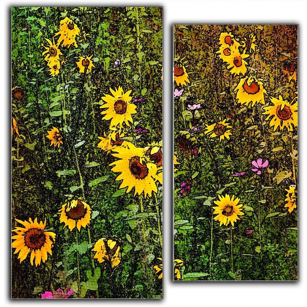 zonnebloemen in twee delen van Joke te Grotenhuis