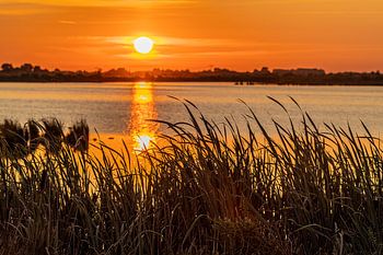 Roegwold dans la lumière du soir