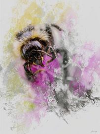 Lucky at by Jeroen Hofstede