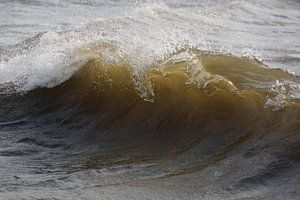 Une vague entrante
