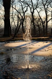 Springbrunnen und Bäume im Abendlicht 1