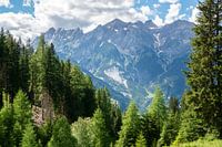 Montagnes au-dessus de Grins (Tyrol)