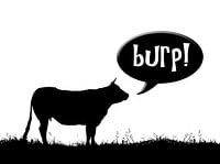 Farmer's cow