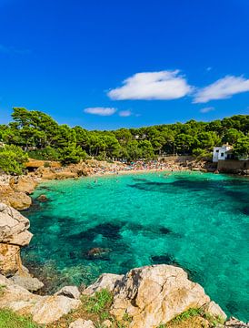 Prachtige kust op het eiland Majorca, idyllische baai strand van Cala Gat van Alex Winter