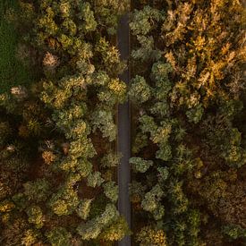 Drone picture of a road in autumn by Wianda Bongen