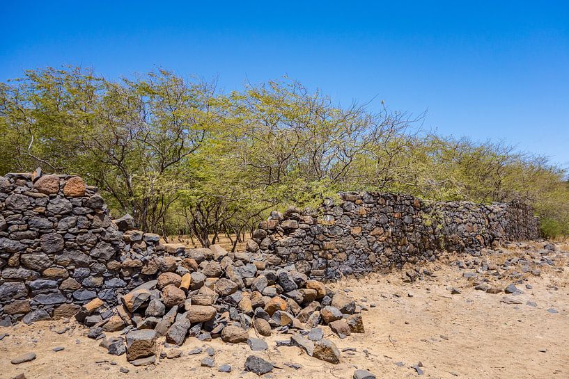 Broken Wall by Leendert van Bergeijk