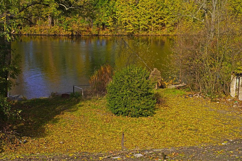 Herfst aan de Saale in Halle Saale in Duitsland van Babetts Bildergalerie