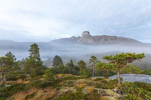 Brouillard magique du matin à Steigtinden près de Bodø.