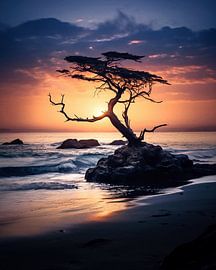 Sunset at the Pacific Ocean