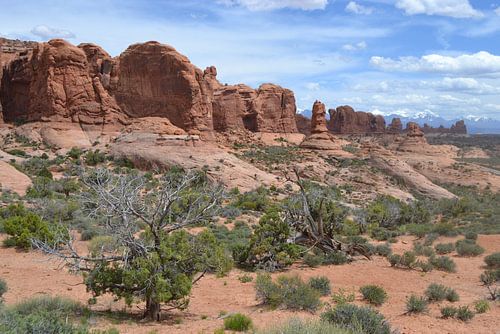 In Arches National Park,Utah, Amerika