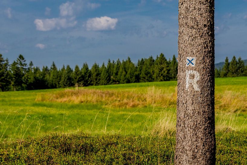 Wonderful hiking paradise at the Rennsteig by Oliver Hlavaty