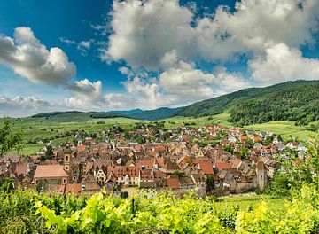 Een dorp temidden van de wijngaarden, Riquewihr, Frankrijk