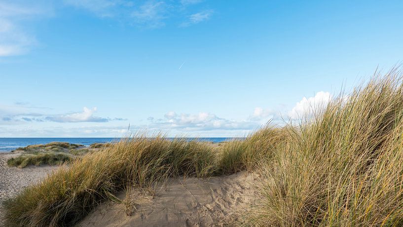 Dune crossing by Ellen Kramer