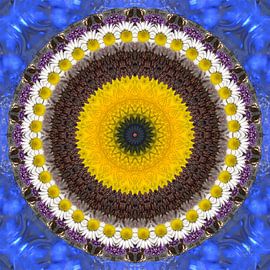 Kirschen Mandala von Dieter Ettingshaus