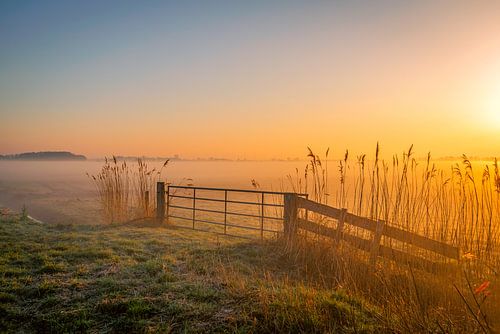 Schilderachtige zonsopgang in een Nederlandse polder