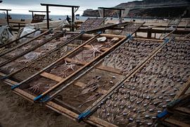 Catch of the day by Bliek Fotografie