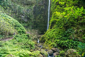 Levada do Caldeirao Verde, Madeira van Peter Schickert