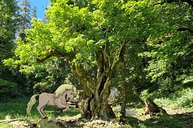 So starb das Einhorn aus von Heubeere-Cartoons