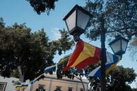 Spanish and Canary flags