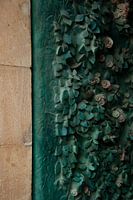 Sagrada Familia in Barcelona