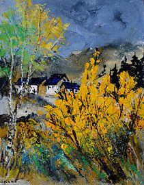 Full spring sur pol ledent