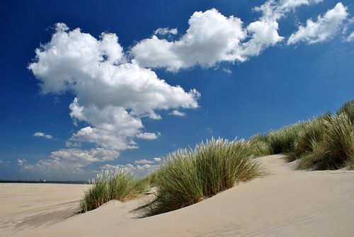 Dünen mit Wolkenhimmel