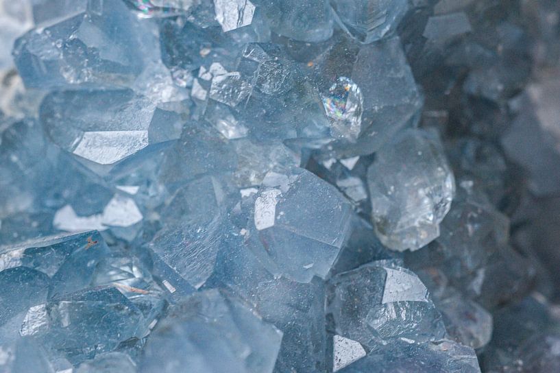 Célestine par Stefanie de Boer