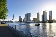 Rotterdam | Watertaxi en Skyline Wilhelminapier van Ricardo Bouman thumbnail