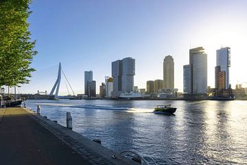 Rotterdam | Wassertaxi und Skyline Wilhelminapier von Ricardo Bouman