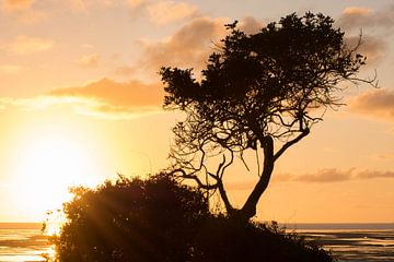 Landschap Australië van Jouke Wijnstra Fotografie