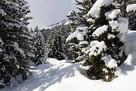 Bonneval-sur-Arc in de Franse Alpen by Rosanne Langenberg