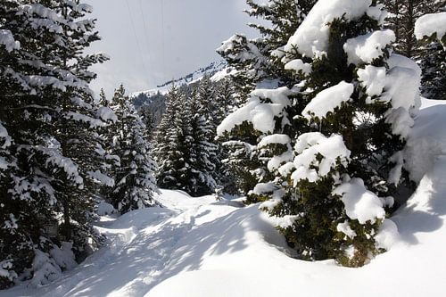 Bonneval-sur-Arc in de Franse Alpen