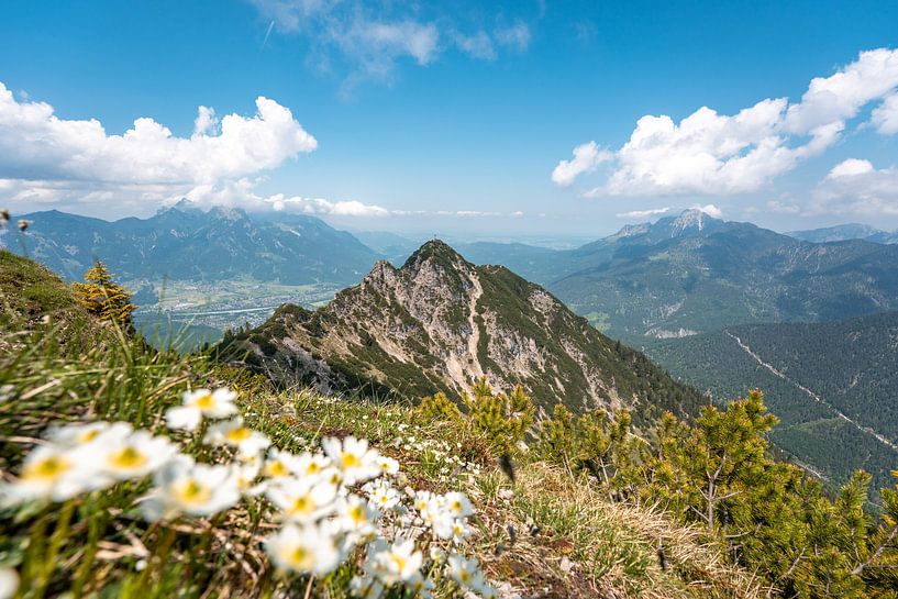 Bloemrijk uitzicht vanaf de Tauern naar Reutte en Außerfern van Leo Schindzielorz