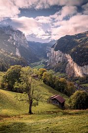 Lauterbrunnen von Nico Schlüter