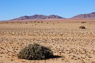Leegte in Namibwoestijn van Inge Hogenbijl thumbnail