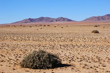 Le vide dans le désert du Namib sur Inge Hogenbijl