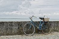 Op de fiets naar zee van Mark Bolijn thumbnail