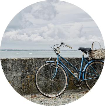 Op de fiets naar zee van Mark Bolijn