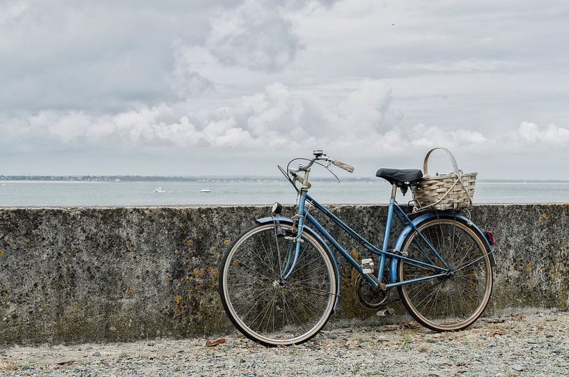 Op de fiets naar zee van Mark Bolijn