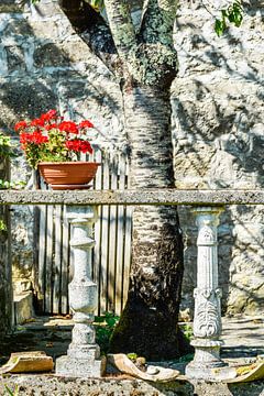 Fleurs rouges sur un banc de style antique à côté d'un arbre sur Lars-Olof Nilsson