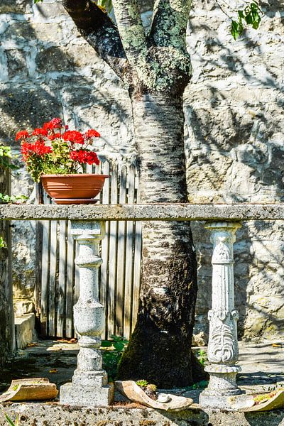 Fleurs rouges sur un banc de style antique à côté d'un arbre par Lars-Olof Nilsson