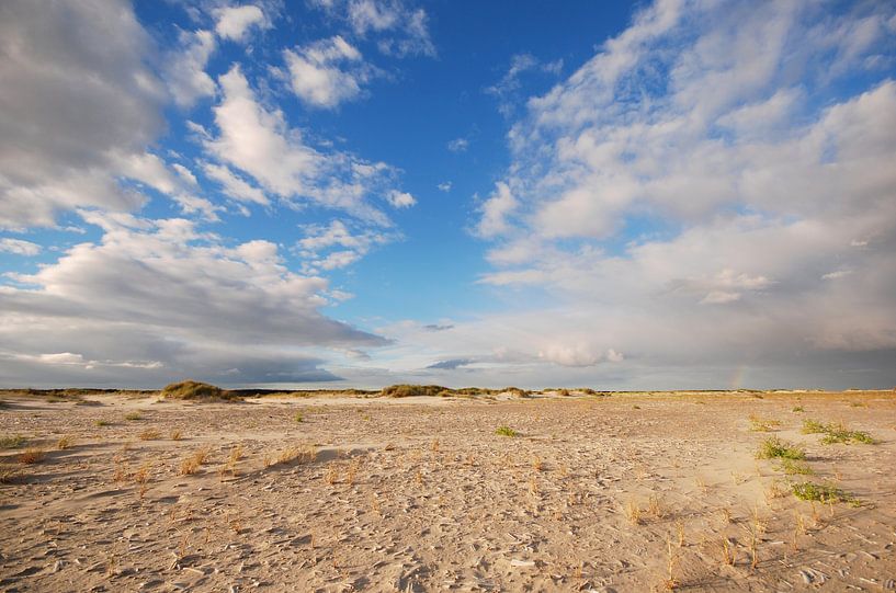 Strand Schiermonnikoog van Margreet Frowijn