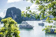 Uitzicht over een verzameling boten in Ha Long Bay in Vietnam van Niels Rurenga thumbnail