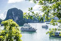 Uitzicht over een verzameling boten in Ha Long Bay in Vietnam